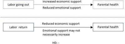 Can the return of rural labor improve the physical health of left-behind parents—evidence from rural China